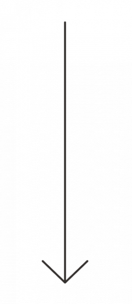 Feuerstein Kommunikation